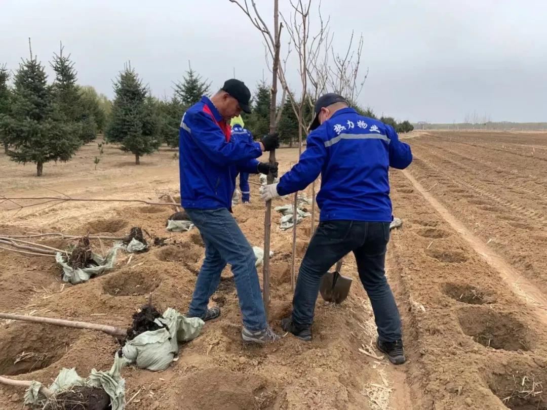 yl8cc永利集团(中国区)官方网站-Ultra Platform