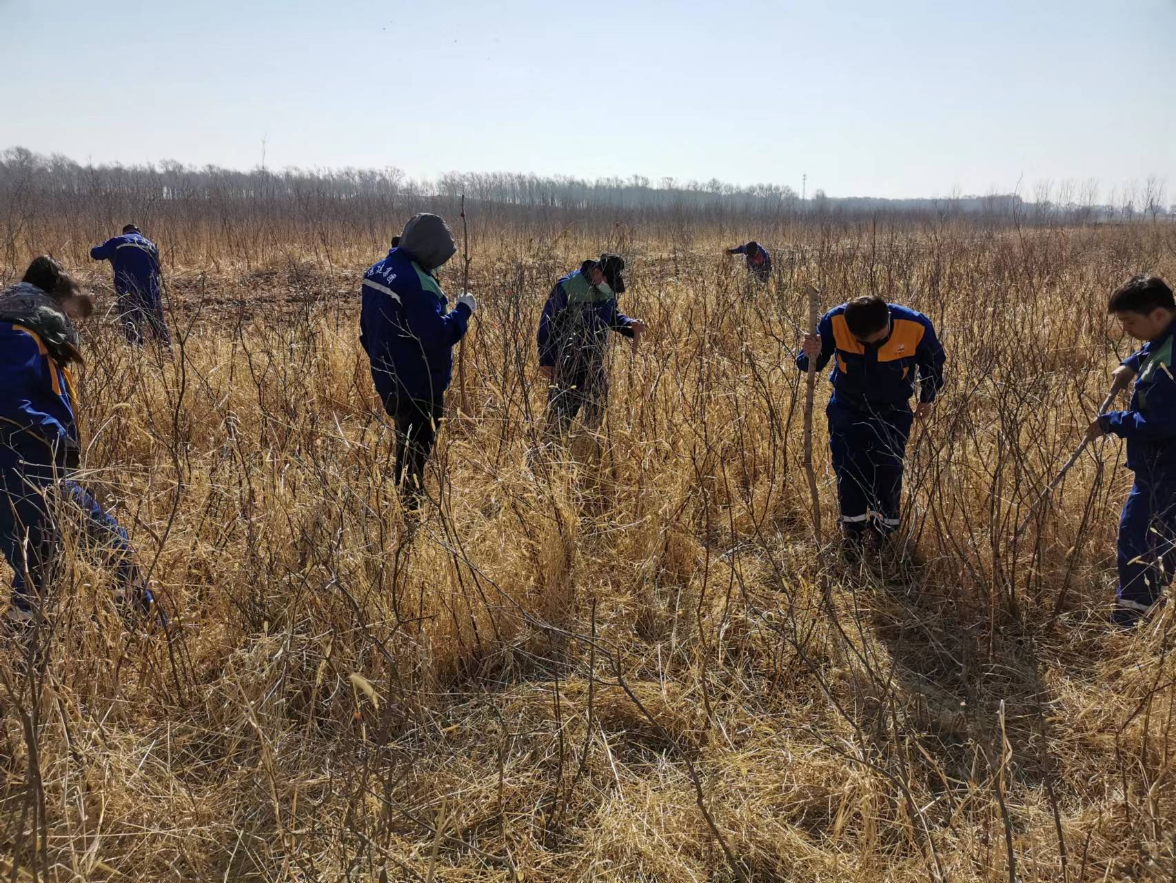 yl8cc永利集团(中国区)官方网站-Ultra Platform