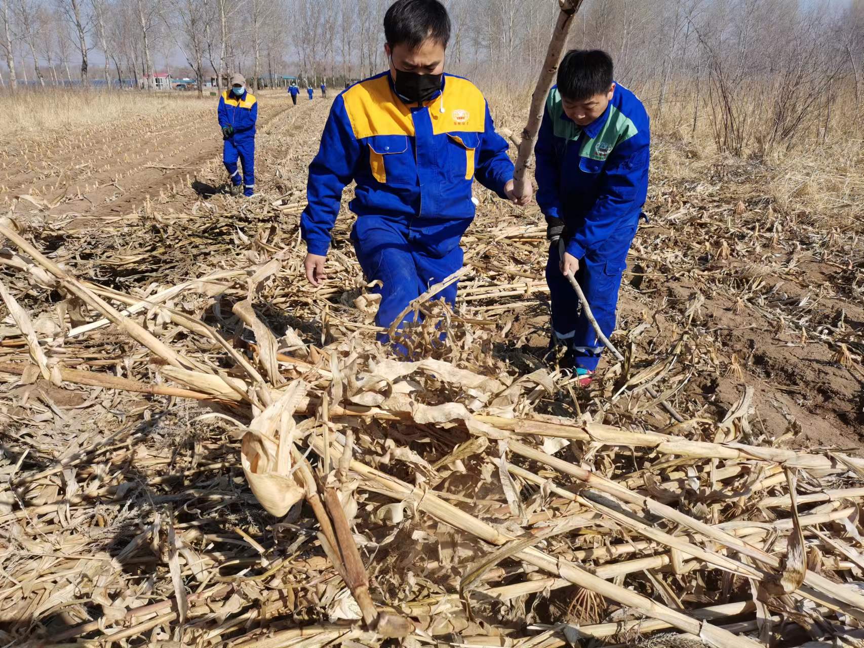 yl8cc永利集团(中国区)官方网站-Ultra Platform