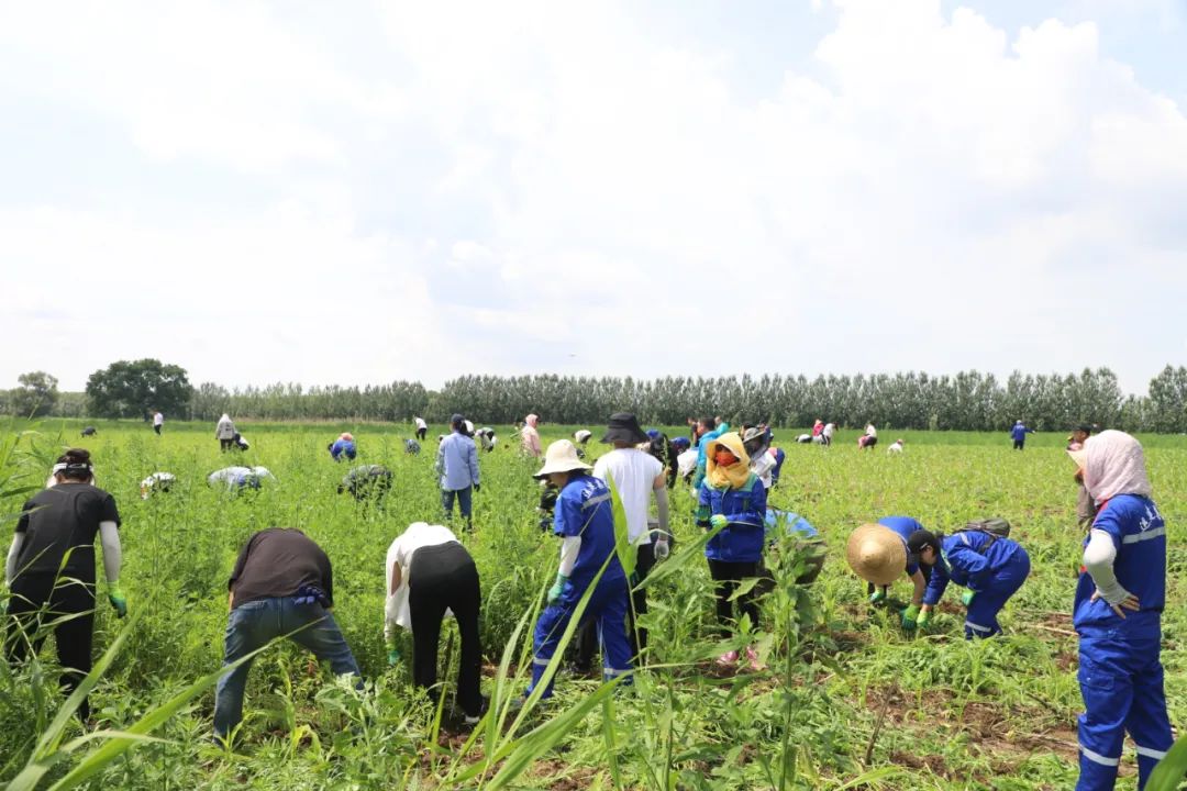 yl8cc永利集团(中国区)官方网站-Ultra Platform