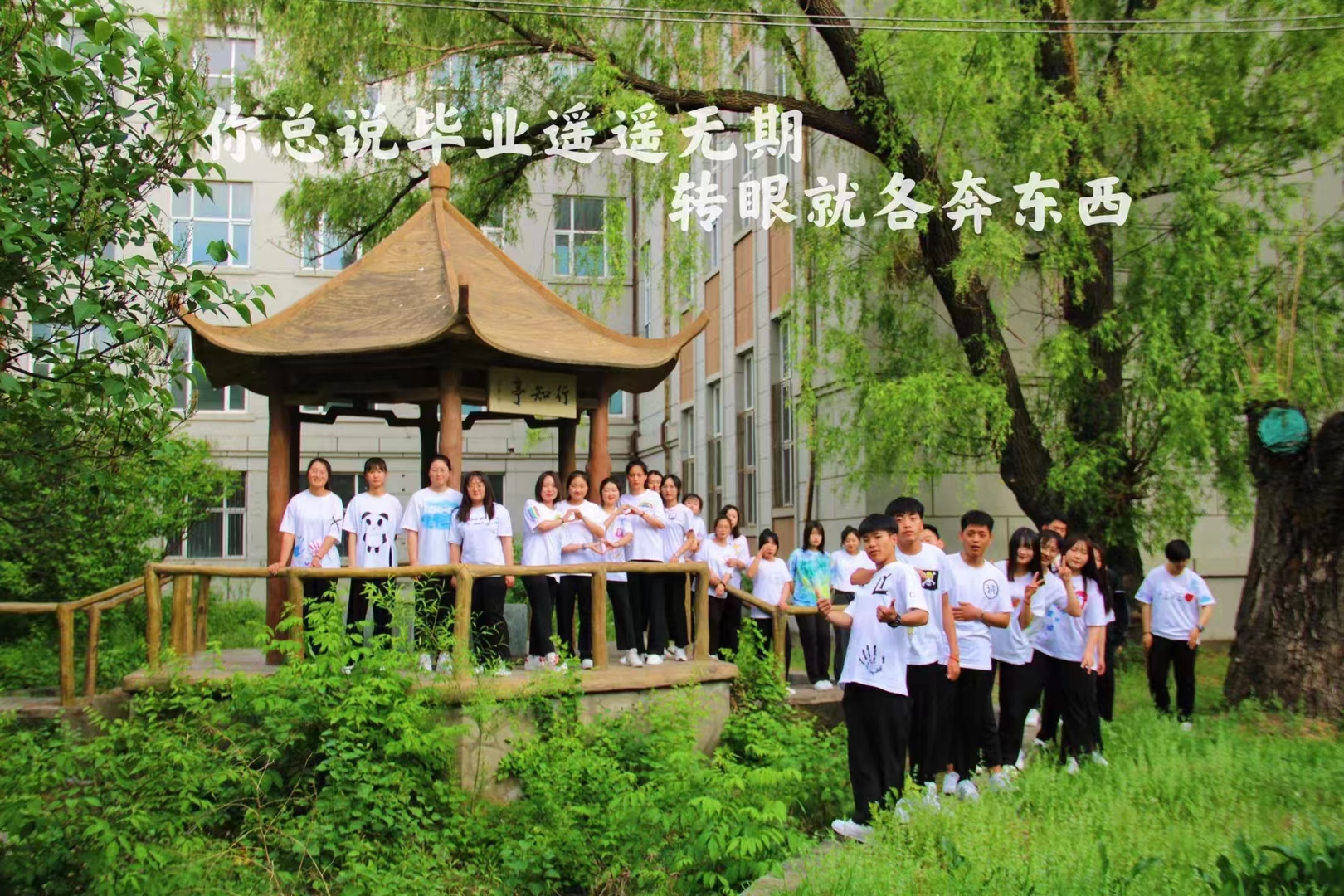 yl8cc永利集团(中国区)官方网站-Ultra Platform