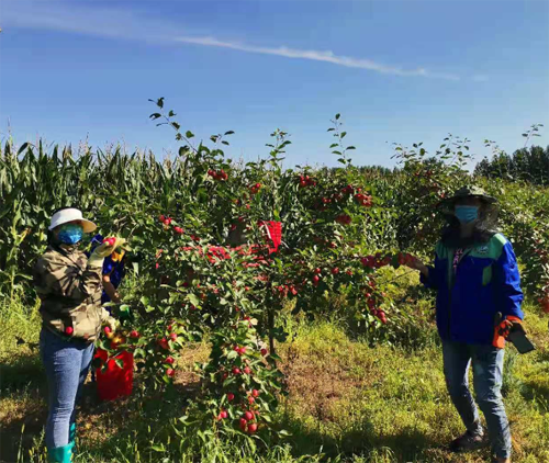 yl8cc永利集团(中国区)官方网站-Ultra Platform