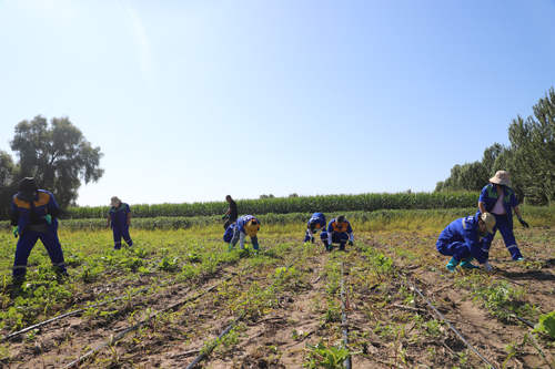 yl8cc永利集团(中国区)官方网站-Ultra Platform