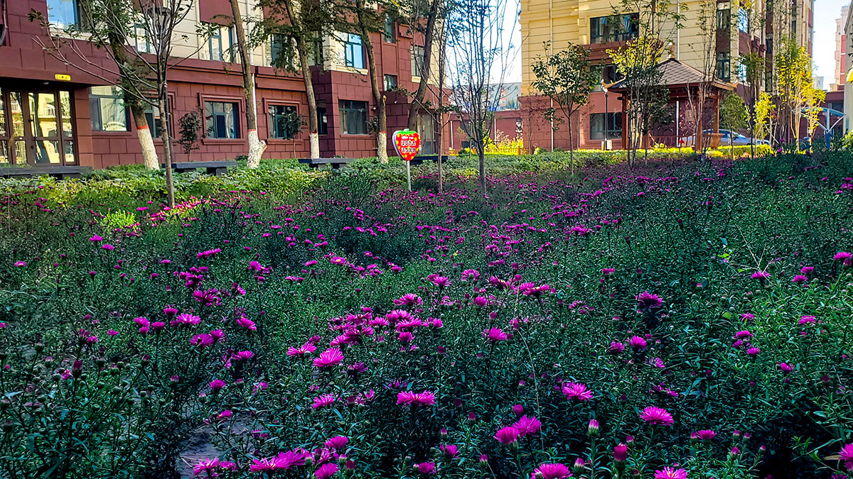 yl8cc永利集团(中国区)官方网站-Ultra Platform