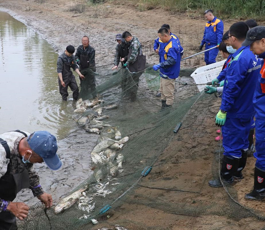 yl8cc永利集团(中国区)官方网站-Ultra Platform