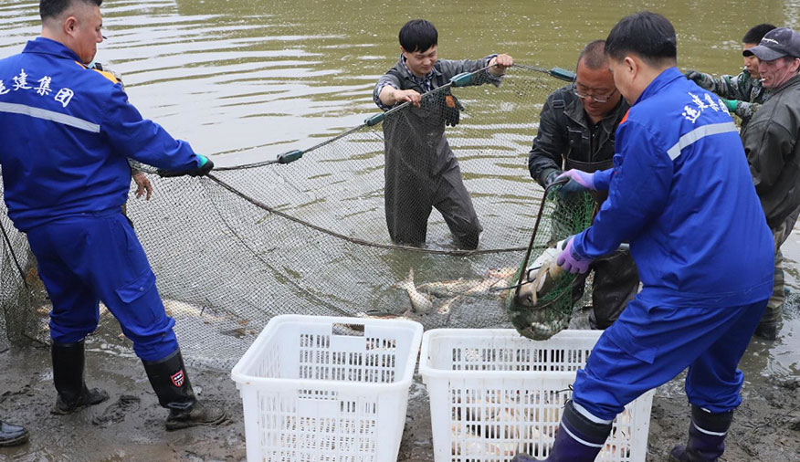 yl8cc永利集团(中国区)官方网站-Ultra Platform