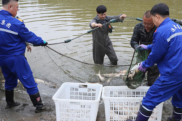 yl8cc永利集团(中国区)官方网站-Ultra Platform