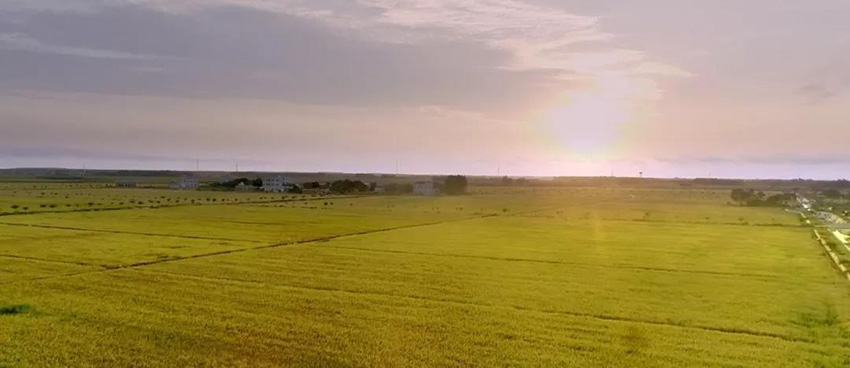 yl8cc永利集团(中国区)官方网站-Ultra Platform