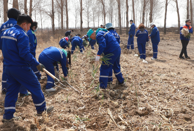 yl8cc永利集团(中国区)官方网站-Ultra Platform
