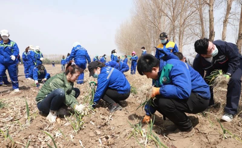 yl8cc永利集团(中国区)官方网站-Ultra Platform