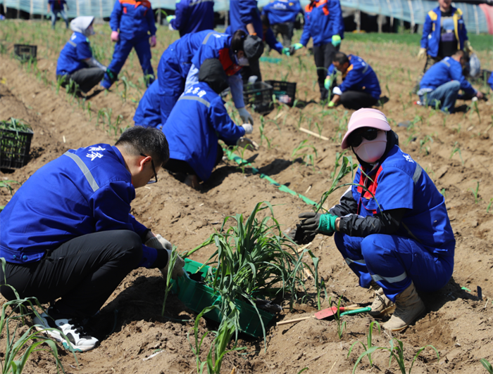 yl8cc永利集团(中国区)官方网站-Ultra Platform