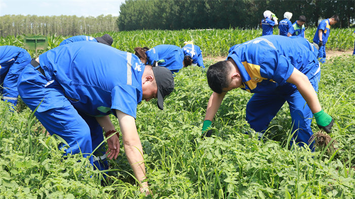 yl8cc永利集团(中国区)官方网站-Ultra Platform